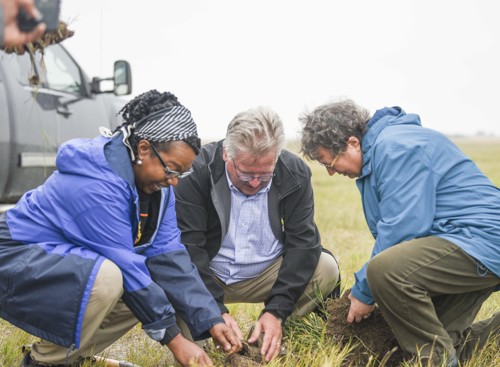 From left, senators Sharon Burey, Robert Black and Paula Simons crouching in a field and putting their hands in the dirt.