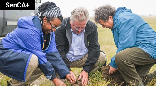 From left, senators Sharon Burey, Robert Black and Paula Simons crouching in a field and putting their hands in the dirt.