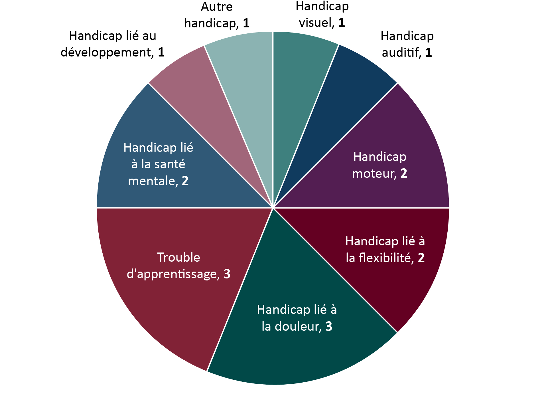 Diagramme circulaire indiquant les catégories de handicap.