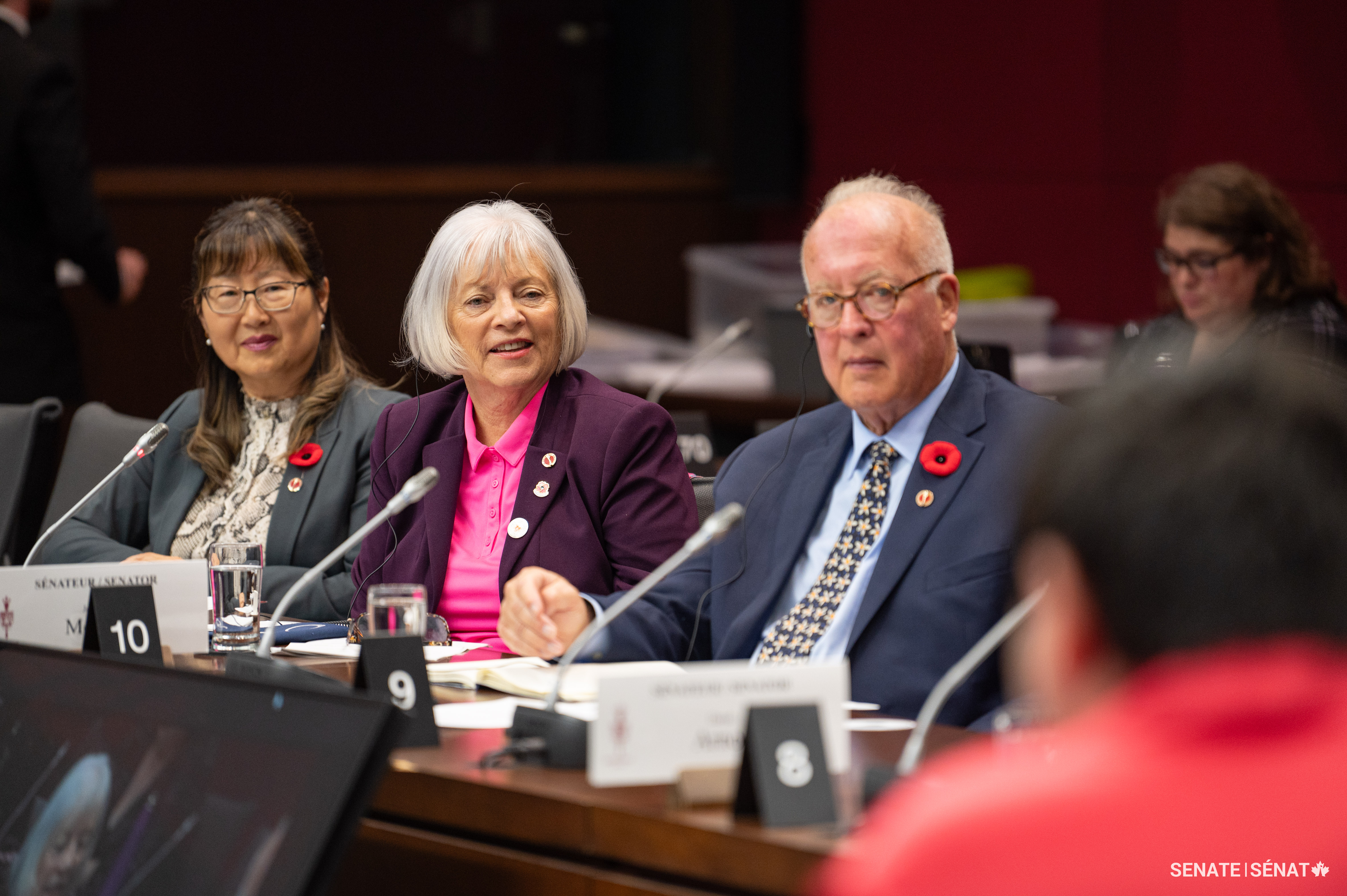 From left, senators Yonah Martin, Nancy J. Hartling and John M. McNair, listen to testimony from a participant of Voices of Youth Indigenous Leaders during a Senate Committee on Indigenous Peoples meeting in October 2024.