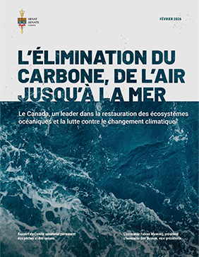 Couverture d’un rapport intitulé « L’élimination du carbone, de l’air jusqu’à la mer ». Vue aérienne de vagues océaniques bleu foncé avec de l’écume blanche. Le sous-titre indique : « Le Canada, un leader dans la restauration des écosystèmes océaniques et la lutte contre le changement climatique ».
