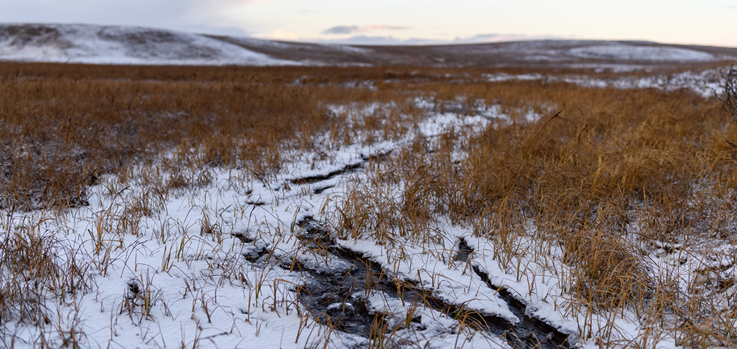 A northern landscape featuring a vast field of grass, partially covered in snow, and rolling hills in the distance.