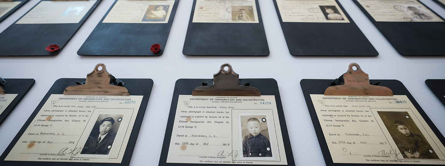 Des papiers d’identité délivrés aux résidents chinois du Canada il y a un siècle, présentés en rangées sur des planchettes à pince.