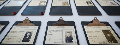 Identity documents issued to Chinese residents in Canada a century ago laid out in rows on clipboards.