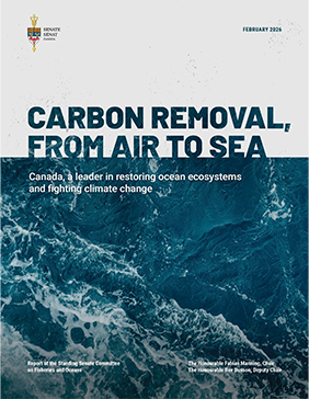 Cover of a report titled “Carbon Removal, From Air to Sea.” Aerial view of dark blue ocean waves with white foam in the background. Subtitle reads, “Canada, a leader in restoring ocean ecosystems and fighting climate change.”