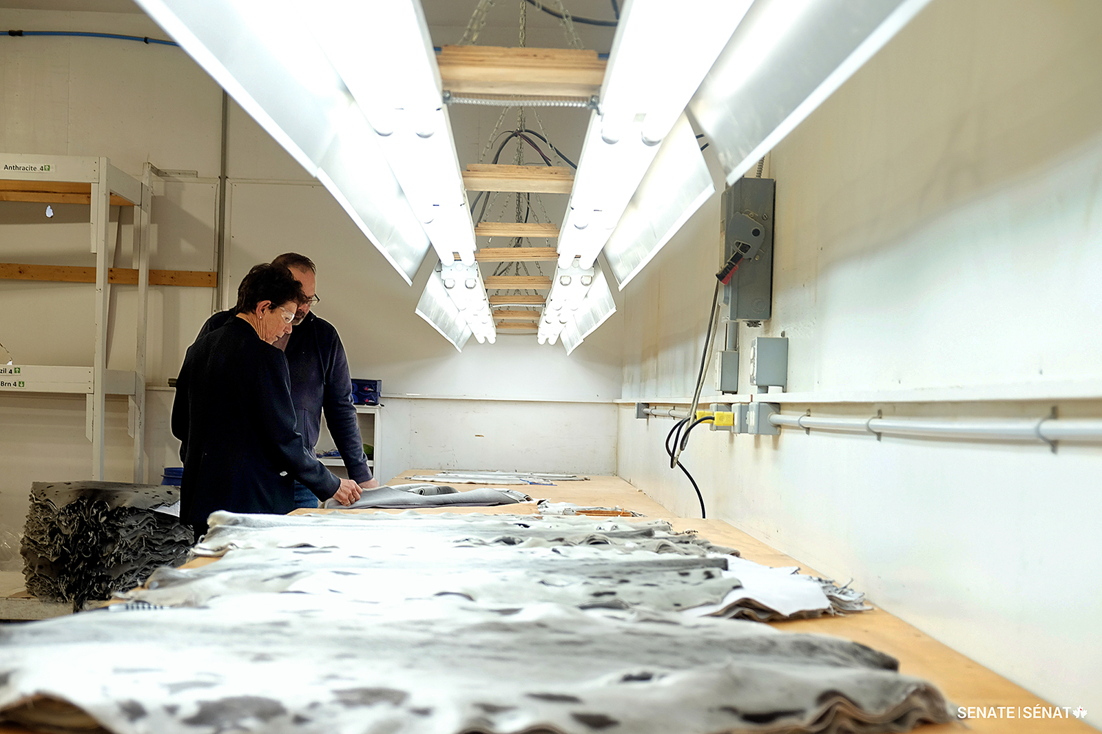 Senator Busson learns about the production of seal pelts and other products at the Carino Processing Ltd. facility in South Dildo.