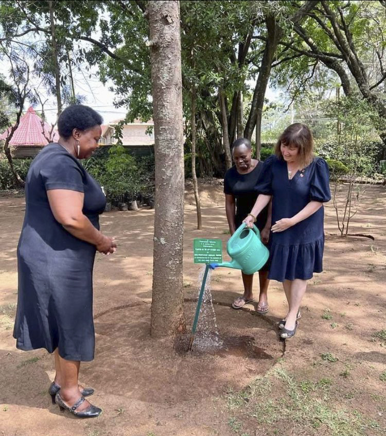 Wednesday, May 25, 2022 – While celebrating Africa Day in Nairobi, Kenya, Senator Mary Coyle waters a tree planted by Wangari Maathai, Nobel Peace Prize winner and founder of the Green Belt Movement — a grassroots organization that promotes environmental conservation. Senator Coyle started her career in Botswana in 1980; she visited and worked in 21 countries across the African continent.