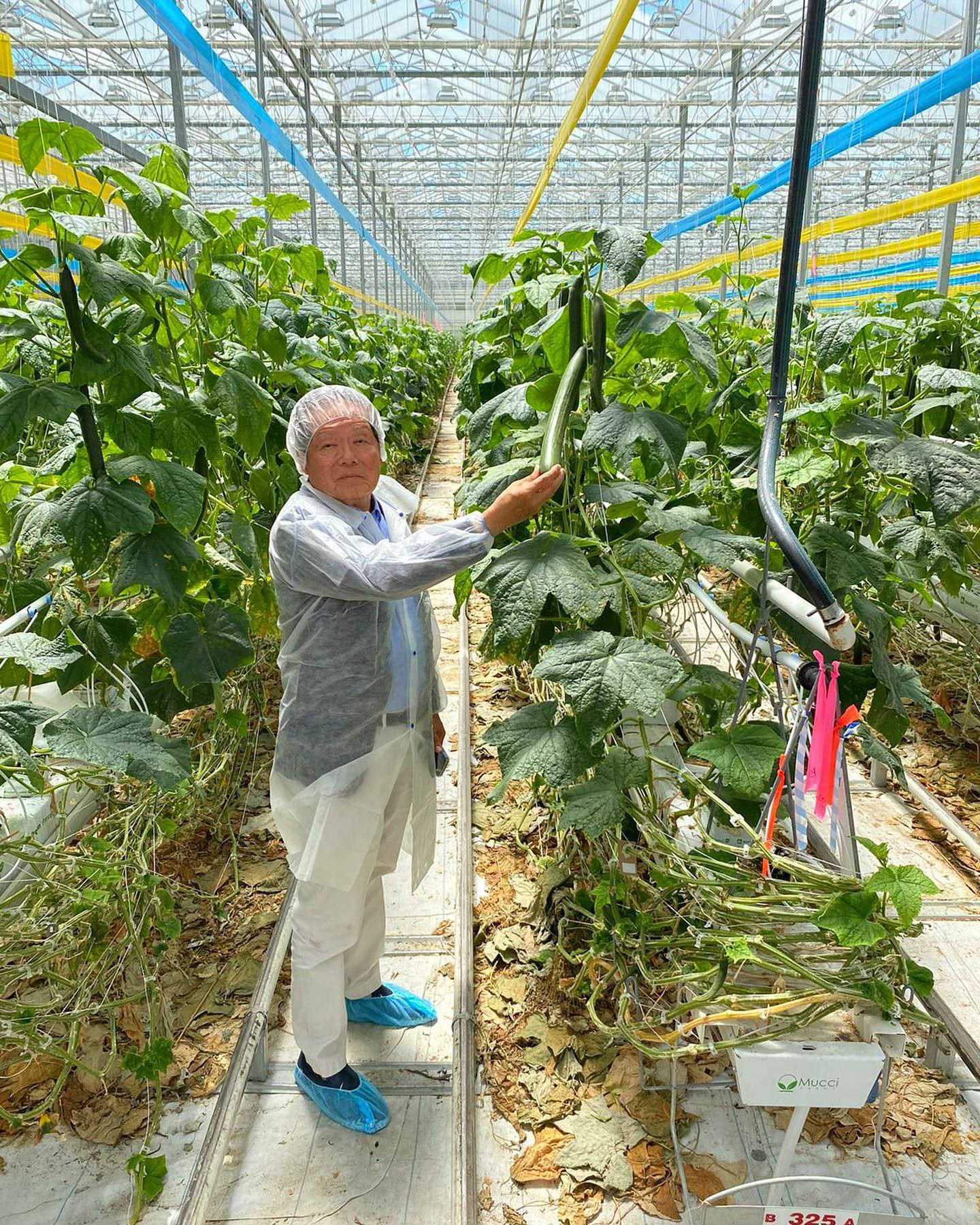 Tuesday, August 2, 2022 –Senator Victor Oh takes a tour of the greenhouses at Mucci Farms Ltd., which operates more than 250 growing acres. He learned about the automation and robotics technologies used in food production and packaging and saw the wide range of vegetables that the company grows and distributes.