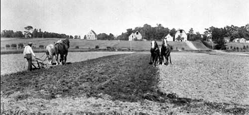 Farmers plowing a field with two teams of horses.