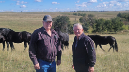 Two men standing in a field surrounded by horses.