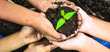 Three pairs of children’s hands cup a small mound of dirt with a seedling at its centre.