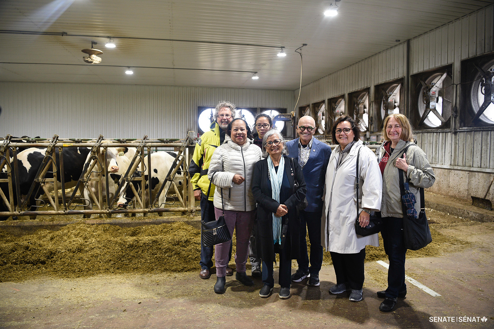 Senator Mégie visits a dairy farm in Prince Edward Island with members of the Senate Committee on Social Affairs, Science and Technology for a fact-finding mission on migrant workers. Also pictured, from left, are senators Stan Kutcher, Flordeliz (Gigi) Osler, former senator Ratna Omidvar, and senators René Cormier, Rosemary Moodie and Donna Dasko.