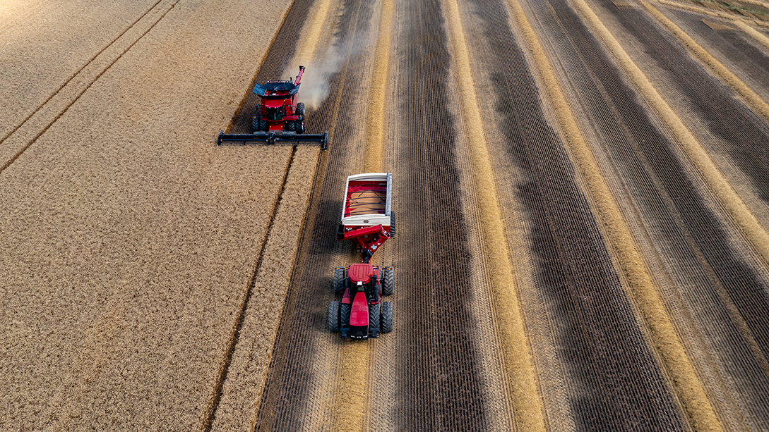 Deux machines agricoles rouges moissonnent un champ de blé doré.